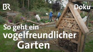 Vogelfreundlicher Garten: Hecken, Sträucher, Blüten | Zwischen Spessart und Karwendel | Doku | BR