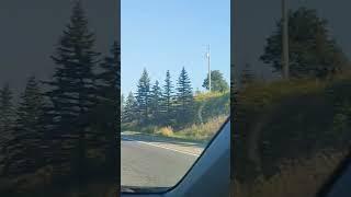 First time Enjoy the long drive in canada#gopalsauchef #gopalvlogs #longdrive #canadalife