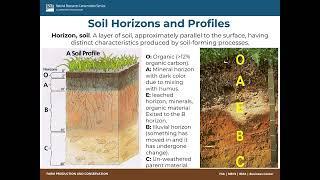 RI Soils WorldSoilDay 2024