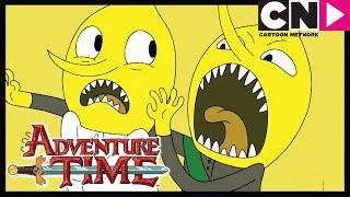 Hora de Aventura Brasil | Mais Outras Cinco Historinhas | Cartoon Network