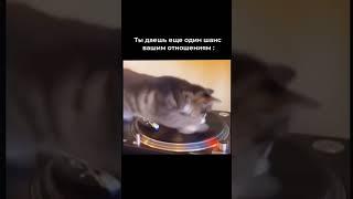 Психолог Анастасия Моисеева