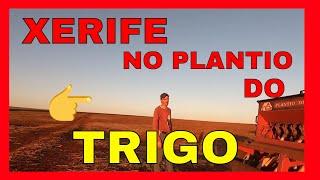  INICIANDO O PLANTIO DO TRIGO | EP047