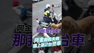 黃金獵犬攔截警察「上車失敗」 秒轉移目標「嗨上第2台」｜TVBS新聞@TVBSNEWS01