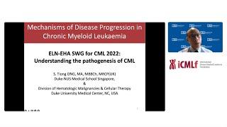 Mechanisms of disease progression in chronic myeloid leukemia