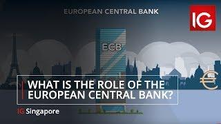 What is the role of the European Central Bank? | IG Singapore