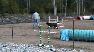 Not much focus today (plus a bad handler) 11 27 2022