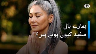 کیا آپ کے بال بھی سفید ہورہے ہیں؟ | DW Urdu | Why Do Our Hair Turn White?