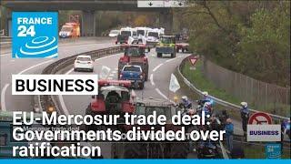 EU-Mercosur trade deal: Governments divided over ratification • FRANCE 24 English