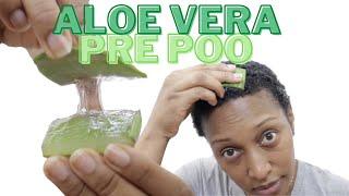 How To Use Aloe Vera for Hair Growth | Pre Poo Routine | Type 4 Low Porosity Natural Hair