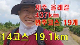 제주 올레길 14코스 19.1km - 해안코스는 정말 아름다운 트레킹~~  기분이 좋아진다.... [ 놀멍 쉬멍 437km ]