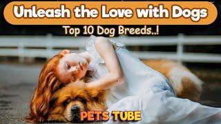 Top 10 Dog Breeds for Pet Companionship