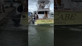 "Micabe" backing into the slip with precision   @charlestonharbormarina @scgovernorscup