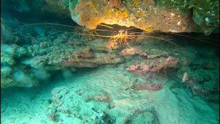 Cave Diving for Crayfish | Shore Dive WA