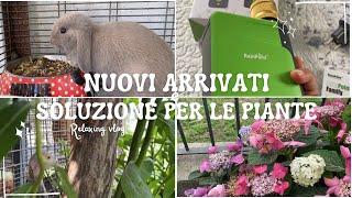 NUOVI ARRIVATI  SALVO LE PIANTE GRAZIE A RainPoint  Relaxing vlog