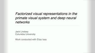 DOE CSGF 2023: Factorized Visual Representations in the Primate Visual System and Deep Neural Net...