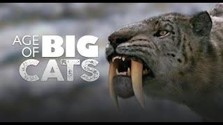 Age of Big Cats | Survivors | Smilodon | Sabre Tooth