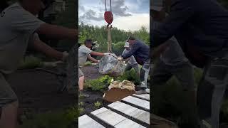 Выгружаем черный мрамор с прожилками🪨 #land_blog #garden #ландшафтныйдизайн #озеленение #садмечты