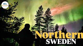 Northern Lights in the Wild: My Sweden Expedition!