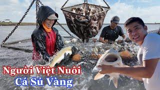 Bỏ Việc Ở Trung Tâm Vũ Trụ Mỹ Về Quê Đào Ao Nuôi Cá