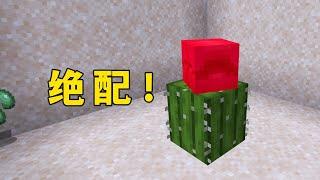 我的世界：當犰狳遇上仙人掌，這才是基岩版的上限！ #我的世界 #minecraft #mc