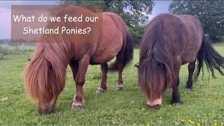 What do we feed our Shetland Ponies? TV Episode 510