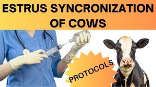 How Estrus Synchronization Can Supercharge Your Cattle Herd: Uncover the Benefits Now!