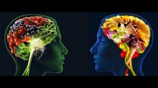 El Cerebro y la alimentación ¦ DW Documental