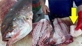 Amazing Cutting Skills | Red Snapper | Easiest Way To Remove Fish Skin