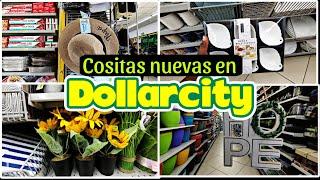 LO NUEVO EN DOLLARCITY DESCUBRE LAS ÚLTIMAS NOVEDADES