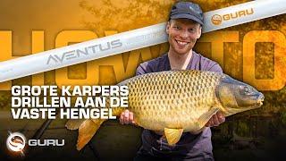 Grote Karpers drillen op de Vaste Hengel |How TO| Tackle Guru Benelux