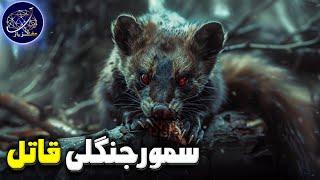 قاتلی بیرحم با ظاهری مظلوم