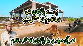 Smart Cattle Farming in Pakistan | Complete Guide to Build Best Infrastructure of a Breeding Farm