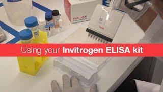 Using your Invitrogen ELISA kit