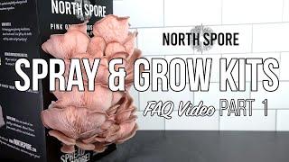 North Spore Spray & Grow Mushroom Kits | Setting-up and Maintaining Your Kit | FAQ Part 1