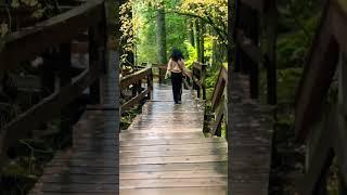 Pictures of infinite beauty #serenityfound #naturewalks #shortsvideo #youtubeshorts #outdoors