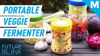 This All-In-One Fermentation Station Is Portable | Future Blink