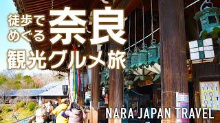 【奈良旅行】徒歩だけで1日満喫コース！定番観光から穴場まで日帰り旅｜奈良公園｜ならまち｜東大寺｜二月堂｜吉野葛佐久良｜Cafe春｜Nara Japan