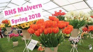 RHS Malvern Spring Festival 2018: Stars of the Floral Marquee