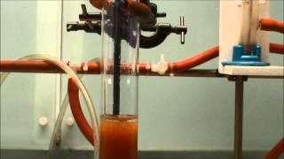 Ion exchange chromatography