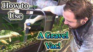 How to Use an Aqueon Siphon Vacuum Gravel Cleaner to Clean Your Aquarium!  