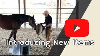 How To Introduce New Things To Your Horse