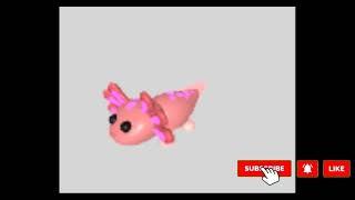 NEON AXOLOTL AND MEGA NEON AXOLOTL - ADOPT ME NEW PREMIUM PET / ADOPT ME NEWS NEW PET PREMIUM