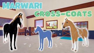 Breeding *MARWARI CROSS-COATS!* | Wild Horse Islands