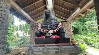 Kauai's Hindu Monastery#kauaihawaii beautiful peaceful #nature #meditation