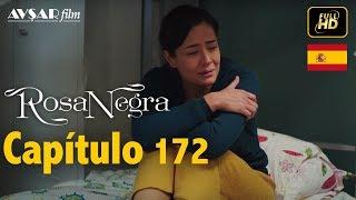 Rosa Negra - Capítulo 172 (HD) En Español