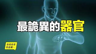 最詭異的器官，我們都被這個器官封裝在超能力機甲當中……|自說自話的總裁