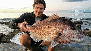 ROCK FISHING NEW ZEALAND | MOOCHER HUNTERS