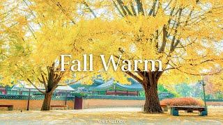 가을 따뜻함  저와 함께 긍정적으로 하루를 시작해 보세요 - FALL Warm