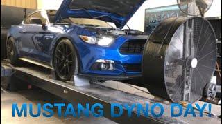 S550 Mustang on the dyno! (Ported 18 Intake Manifold, JLT Cold Air Intake, And MGW Short Throw)