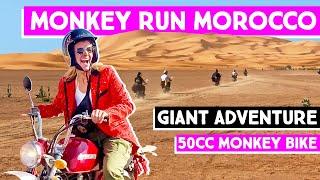 Ride a 50cc bike across Morocco on the Monkey Run